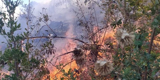 A blaze west of Mayamas village in Sweida extinguished
