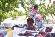 Starting the cherry harvest season in Damascus countryside