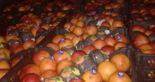 Siria exporta a Rusia primer lote de naranjas