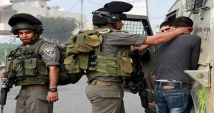 Siete palestinos arrestados arbitrariamente por militares israelíes