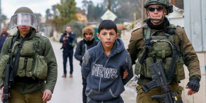 Ocupante israelí arrestó a 260 menores de edad palestinos desde principios de 2023