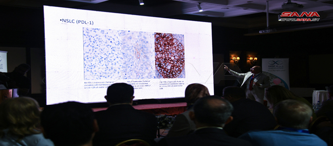 Inicia en Damasco un evento científico sobre Terapia con Células Madre