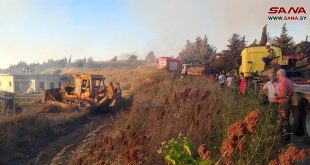 Extinguen un gran incendio en el campo occidental de Homs
