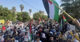 Manifestaciones en todo el mundo a favor de Palestina y de denuncia de los crímenes israelíes en Gaza