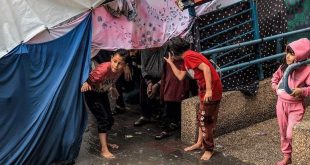 Ocupante israelí y comunidad internacional son responsables del deterioro de la situación humanitaria en Gaza