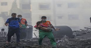 22 mil 313 palestinos murieron durante 89 días de continua agresión israelí a Gaza