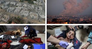 “Israel” cometió 15 masacre en Gaza en las últimas 24 horas