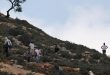 حمله شهرک نشینان به فلسطینيان در روستای المغیر شرق رام الله