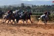 بازگشت رقابت به میدان دمشق با آغاز فصل جدید مسابقات سرعت اسب های اصیل عربی