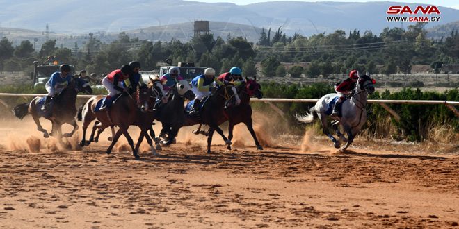 بازگشت رقابت به میدان دمشق با آغاز فصل جدید مسابقات سرعت اسب های اصیل عربی