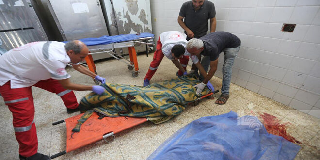 شهادت7 فلسطینی در بمباران رفح  و غزه توسط جنگنده های اشغالگر اسرائیلی