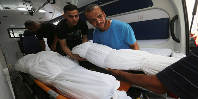 Quatre-vingt martyrs à Gaza ces dernières 24 heures