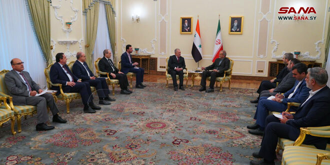 Президент Пезешкиан сирийской делегации:Важность сосредоточения на развитии отношений во всех сферах