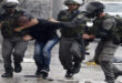 “Israel” arrests 16 Palestinians in the West Bank