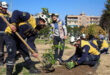 “We are Back Damascus” campaign starts cleaning, planting trees and service activities